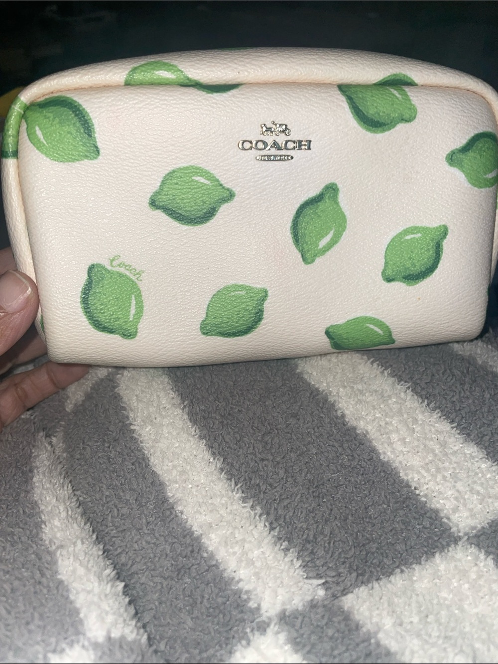 Coach Cream Cosmetic Pouch with Green Lime Print